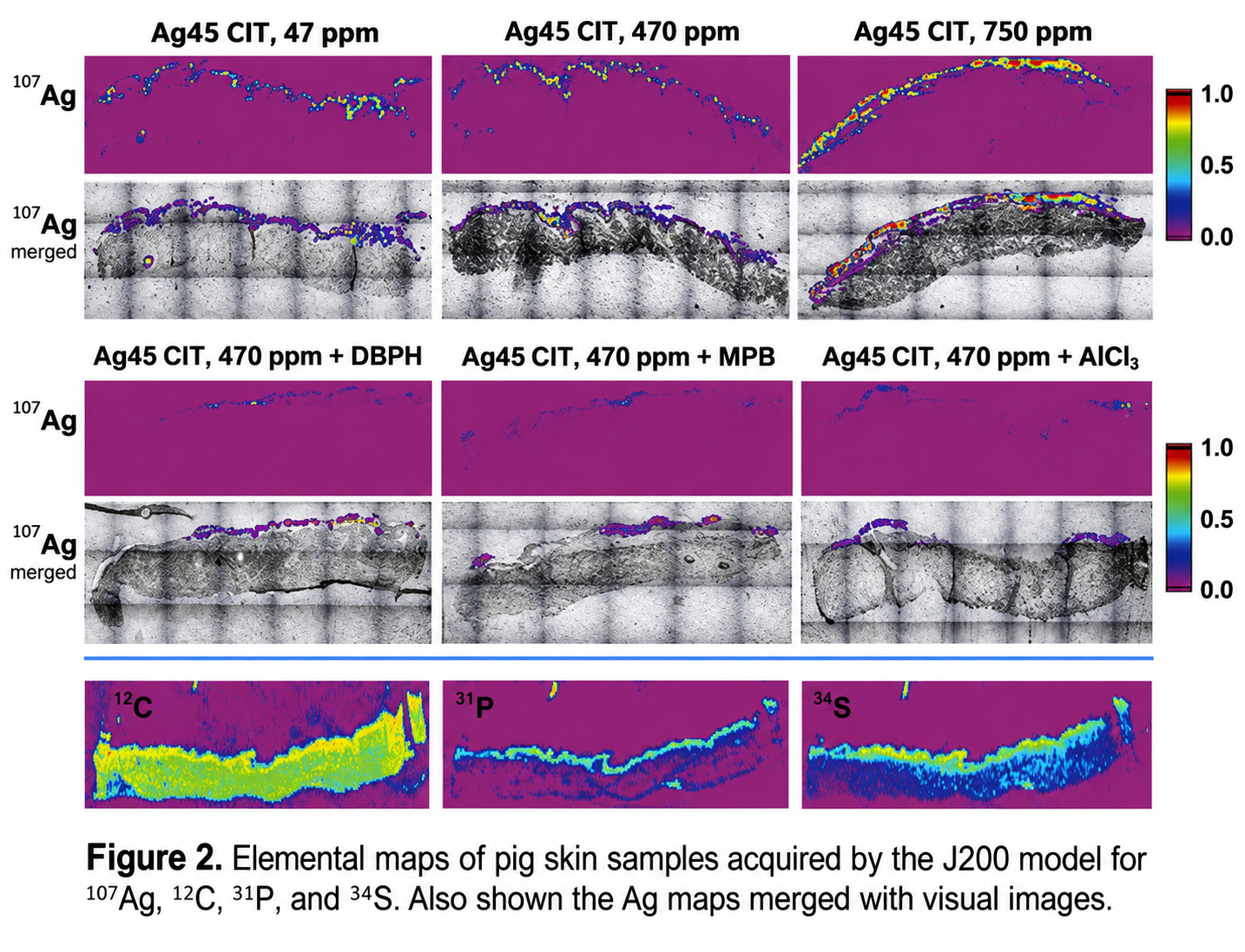J200 elemental maps of pig skin for silver-107, carbon-12, phosphorus-31, and sulfur-34 at multiple silver nanoparticle concentrations