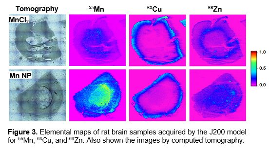 J200 elemental maps of rat brain samples for manganese-55, copper-63, and zinc-66 with tomography