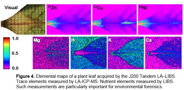 Figure 4: elemental maps of a plant leaf acquired by the J200 Tandem LA–LIBS showing visual, Zn-66, Cu-63, Ni-60 by LA-ICP-MS and Mg, H, K, Ca by LIBS
