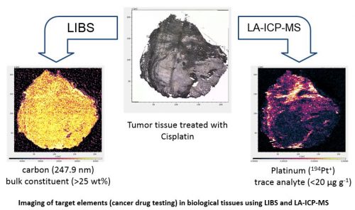 Imaging of target elements (cancer drug testing) in biological tissues using LIBS and LA-ICP-MS. Center: tumor tissue treated with Cisplatin. Left: LIBS map of carbon (247.9 nm), a bulk constituent (>25 wt%). Right: LA-ICP-MS map of platinum (194Pt+), a trace analyte (<20 µg/g).